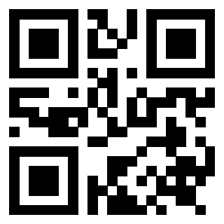 Il Qr Code di 3919271790