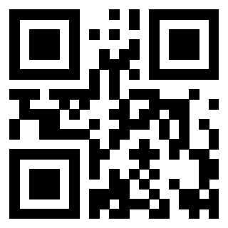 Il Qr Code di 3919271812