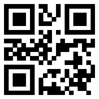 Il Qr Code di 3919271823