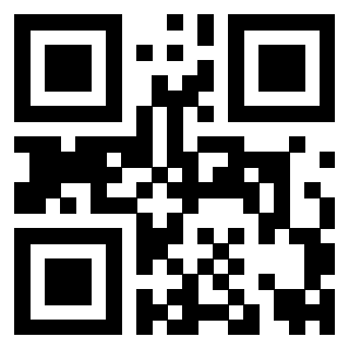 Il Qr Code di 3919271858