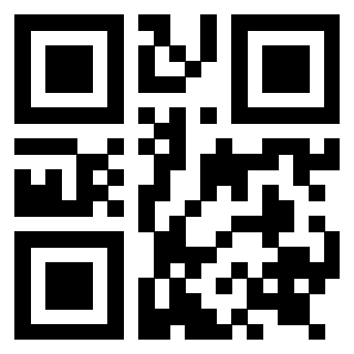 Il Qr Code di 3919271860