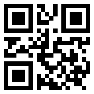 Il Qr Code di 3919271891