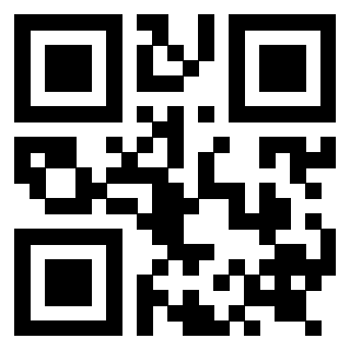 Il Qr Code di 3919271902