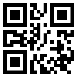 Il Qr Code di 3919271912
