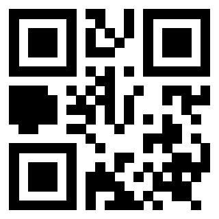Il Qr Code di 3919271916