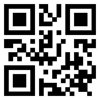 Il Qr Code di 3919271924
