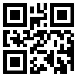 Il Qr Code di 3919271925