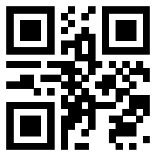 Il Qr Code di 3919271926