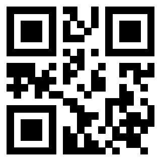 Il Qr Code di 3919271937
