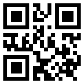 Il Qr Code di 3919271940