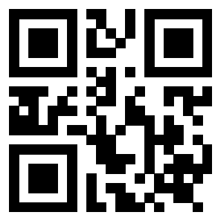 Il Qr Code di 3919271987