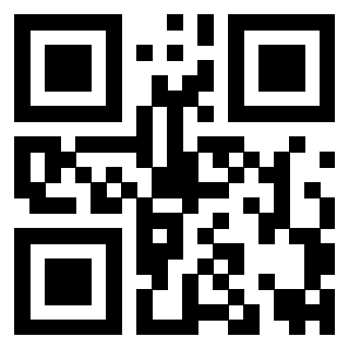 Il Qr Code di 3919272015