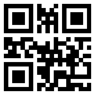 Il Qr Code di 3919272032