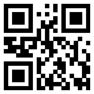 Il Qr Code di 3919272033