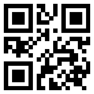 Il Qr Code di 3919272048