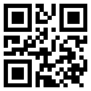 Il Qr Code di 3919272064