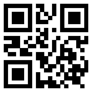 QrCode di 3919272079