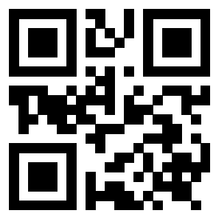 Il Qr Code di 3919272081