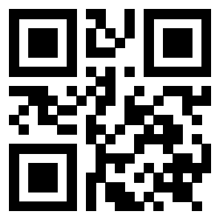 Il Qr Code di 3919272098