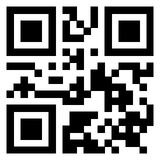 Il Qr Code di 3919272106