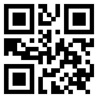 Il Qr Code di 3919272128