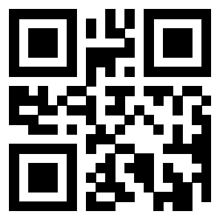 Il Qr Code di 3919272161