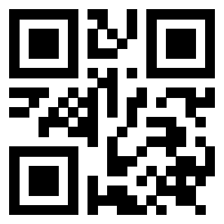 Il Qr Code di 3919272190