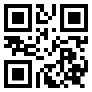 Il Qr Code di 3919272255