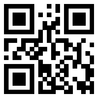 Il Qr Code di 3919272281