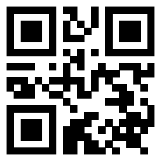 Il Qr Code di 3919272282