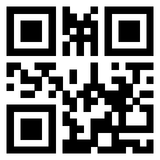 Il Qr Code di 3919272289