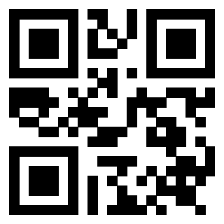 Il Qr Code di 3919272292