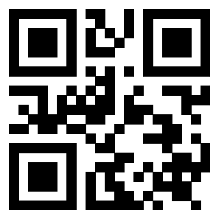 Il Qr Code di 3919272312