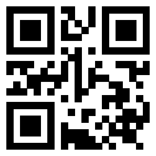 Il Qr Code di 3919272336