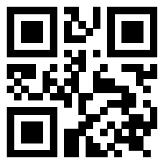 Il Qr Code di 3919272350