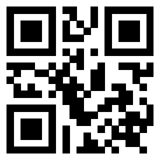 Il Qr Code di 3919272444