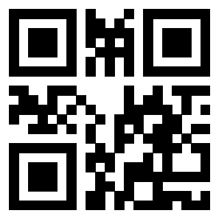 Il Qr Code di 3919272479