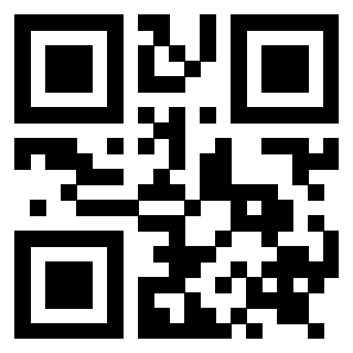 Il Qr Code di 3919272490