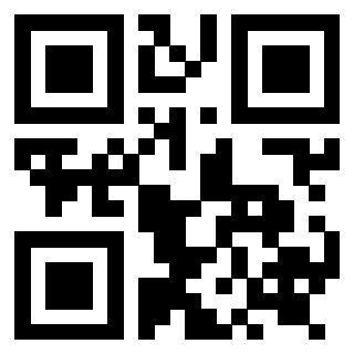Il Qr Code di 3919272499