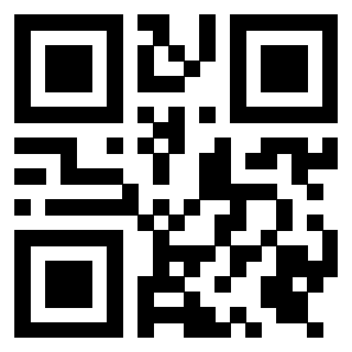 Immagine del Qr Code di 3919305729