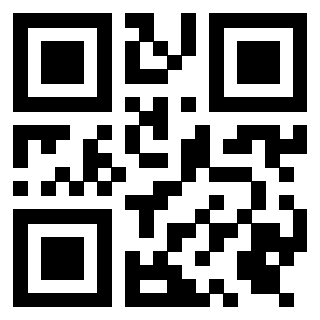 Il Qr Code di 3919305731