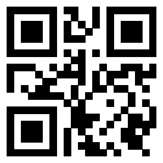 Il Qr Code di 3919305752