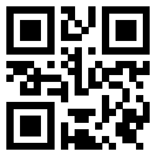 Il Qr Code di 3919305757