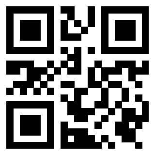 Il Qr Code di 3919305764