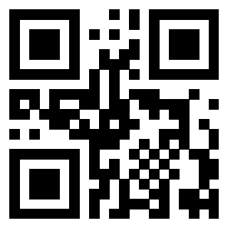 Il Qr Code di 3919305780