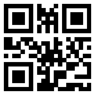 Il Qr Code di 3919305782