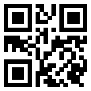 Il Qr Code di 3919305832