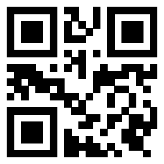 Il Qr Code di 3919305833