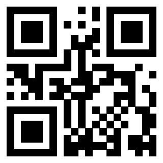 3919305838 QrCode associato