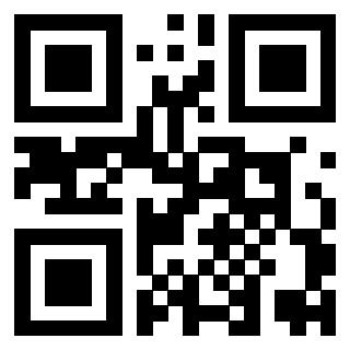 Il Qr Code di 3919305842
